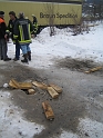 bild (13)